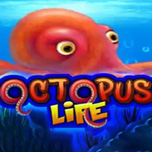 Discover the Exciting World of OctopusLife and KK500 Cassino Online
